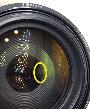 Amazon.co.jp: Canon 望遠ズームレンズ EF70-300mm F4.5-5.6 DO IS USM