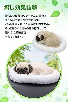 Amazon.co.jp: TASINO イヌ 犬 ぬいぐるみ 置物 26×18センチ リアル