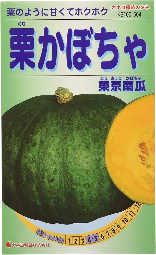 Amazon | カネコ種苗 園芸・種 KS100シリーズ 栗かぼちゃ 東京南瓜