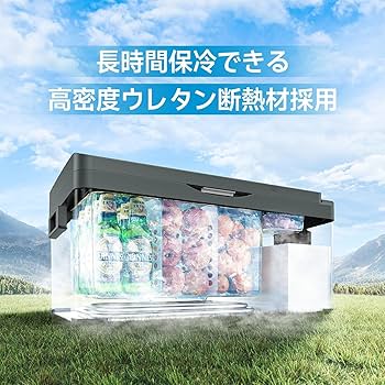 Amazon.co.jp: 車載冷蔵庫 ポータブル冷蔵庫 急速冷凍 20L -22℃～20