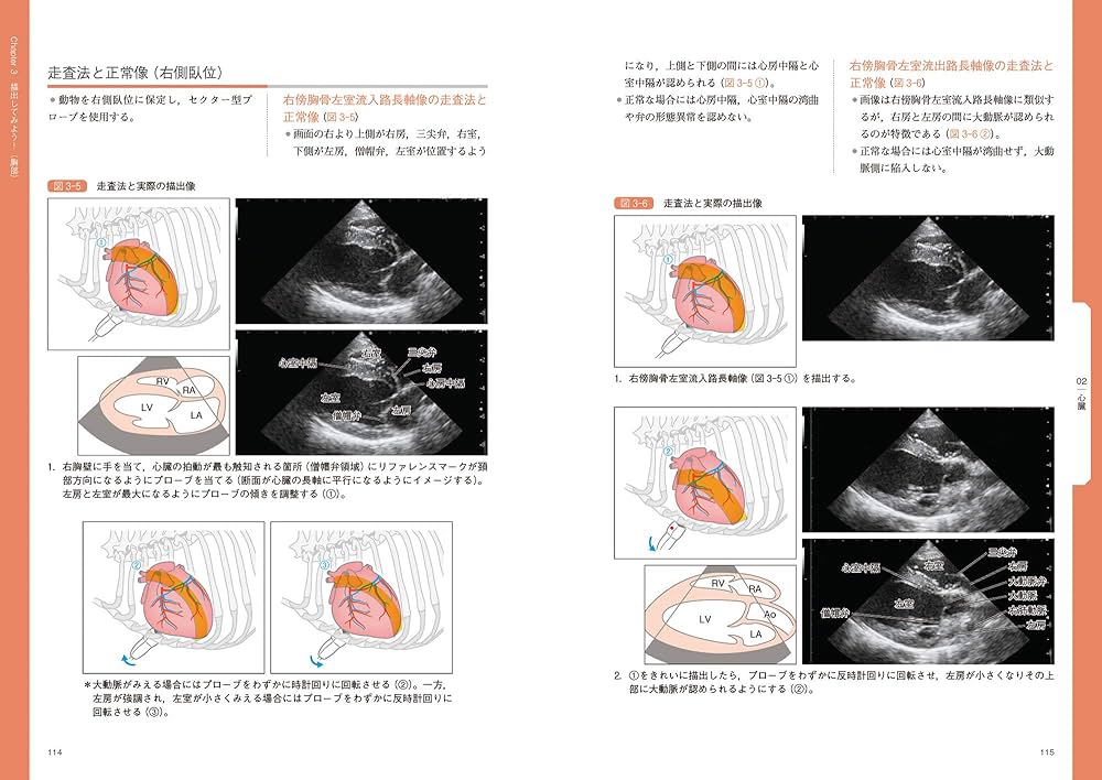 イチからはじめる犬と猫の超音波検査 | 華園 究, 中出 哲也 |本 | 通販
