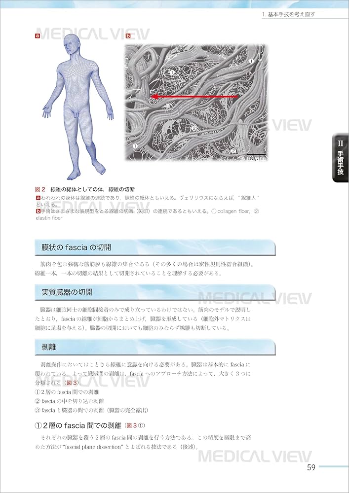 Amazon.co.jp: 根治のための前立腺全摘術の新しい考え方−最新の