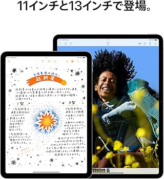 Amazon.co.jp: Apple 2024 11インチiPad Air (Wi-Fi, 128GB