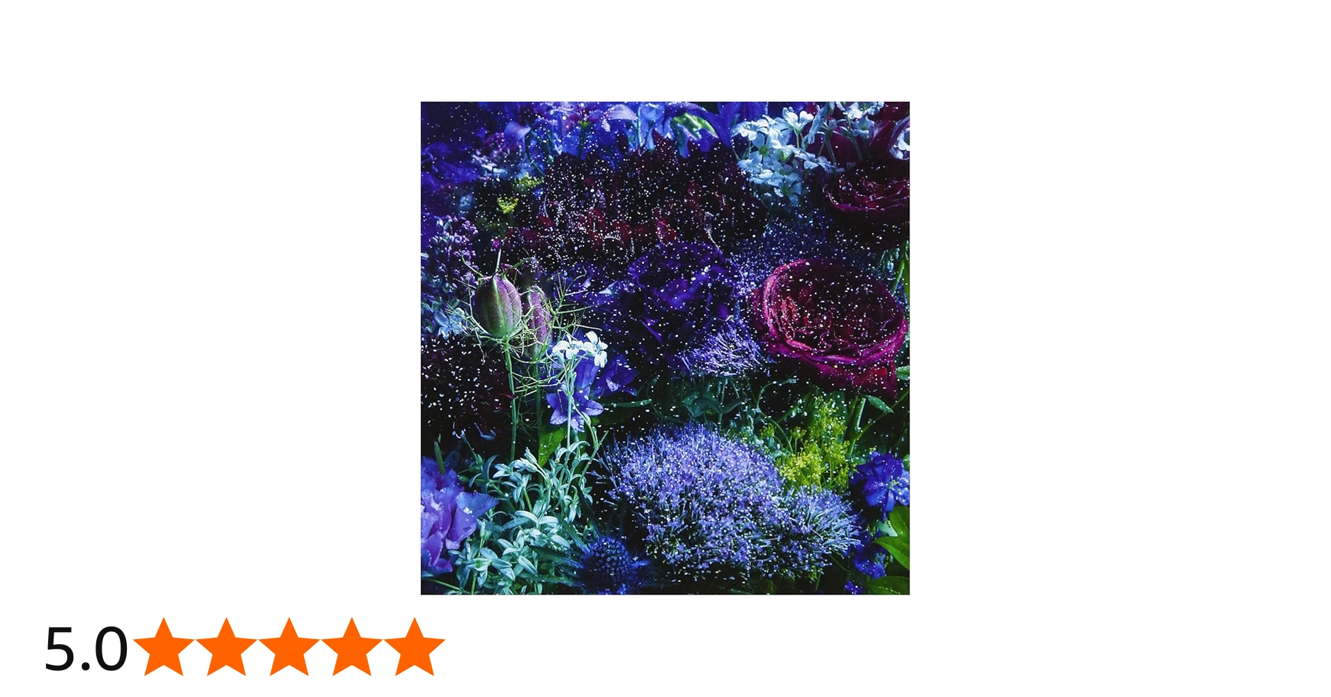 Amazon.co.jp: あなたに出会わなければ~夏雪冬花~/星屑ビーナス