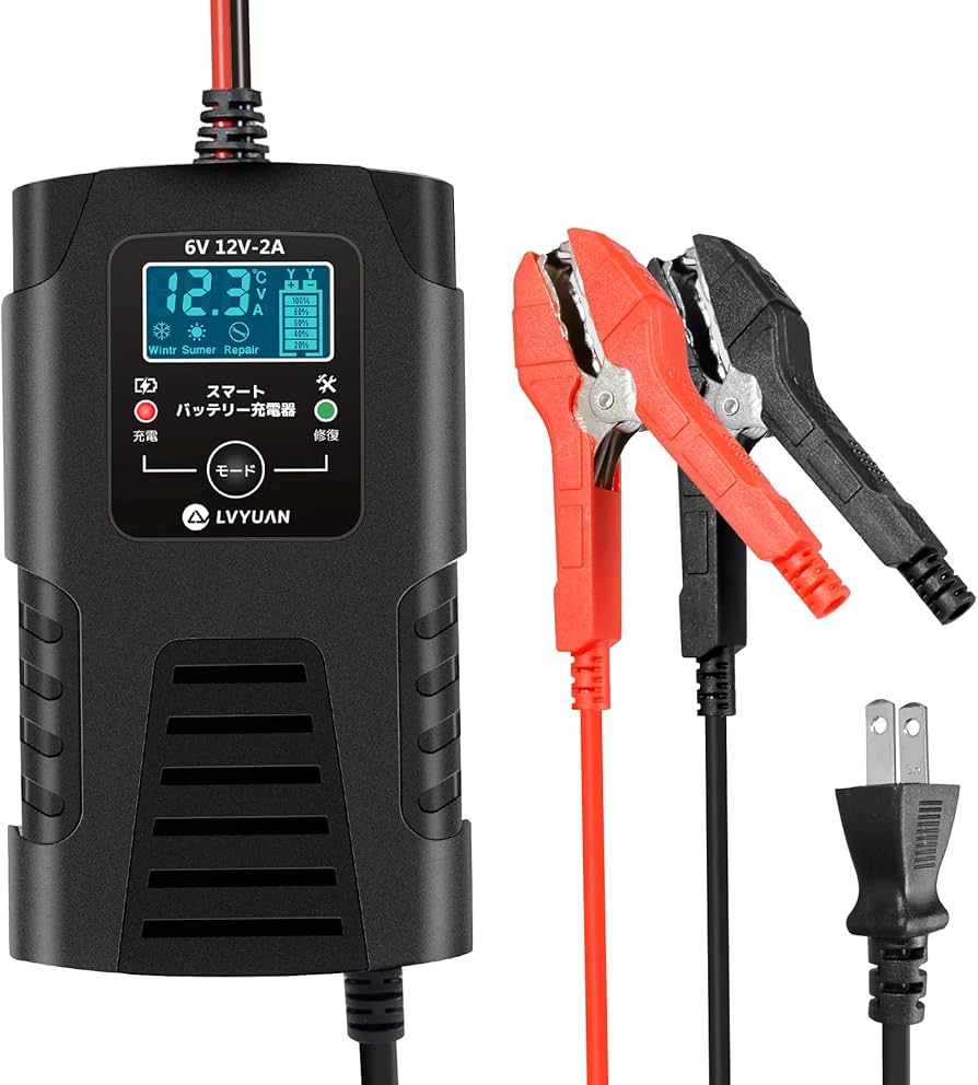 Amazon.co.jp: リョクエン（LVYUAN）【正規品】 全自動パルス