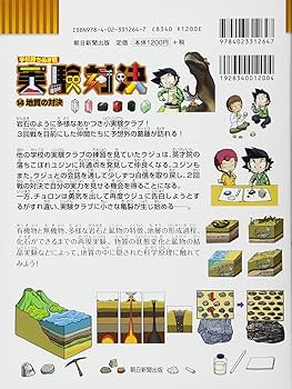 81SrN6b1wLL._AC_UF350,