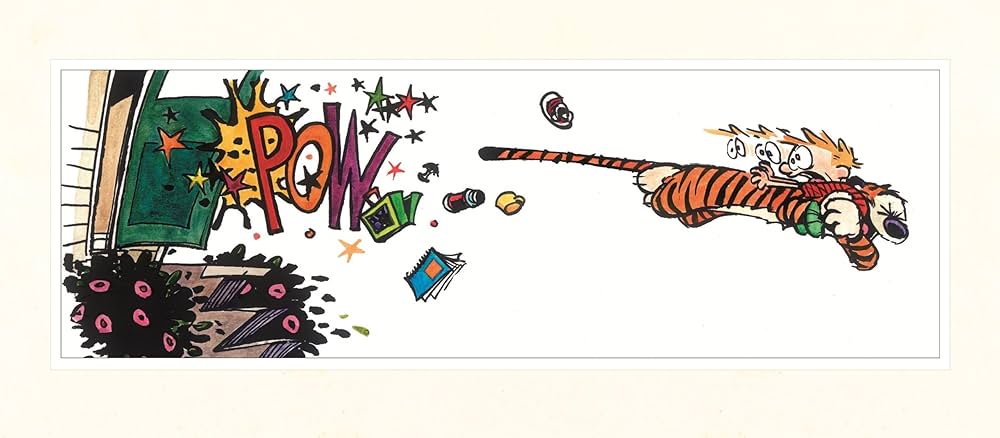 Amazon.com: The Complete Calvin and Hobbes: 9781449433253