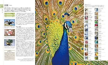 Amazon.co.jp: 地球博物学大図鑑 : スミソニアン協会, デイヴィッド