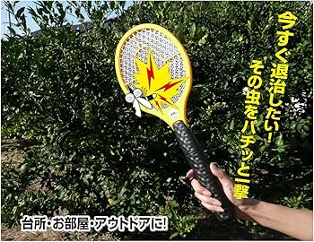 Amazon.co.jp: ミドリ産商 三層ネット ナイス蚊っち : スポーツ
