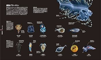 OCEAN LIFE 図鑑 海の生物 | スミソニアン協会, ロンドン自然史博物館