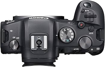 Amazon.com : Canon EOS R6 Mirrorless Digital Camera (Body Only