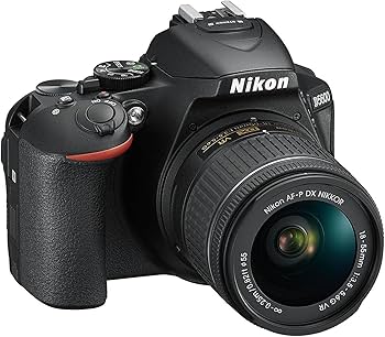 Amazon.com : Nikon D5600 DX-format Digital SLR w/ AF-P DX NIKKOR