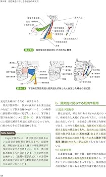 頭頸部外科診療に役立つ 頭頸部管腔構造の理解 | 西嶌 渡 |本 | 通販