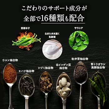 Amazon | 【機能性表示食品】 ターミナリアファースト (グルメサプリ