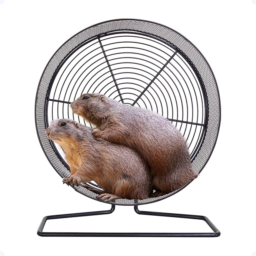 Amazon.co.jp: eモンズ 小動物用ホイール 【 メタルフレームレス 32