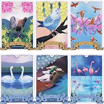 Amazon.co.jp: オラクルカード 日本語版 占い 初心者向け 【 バード