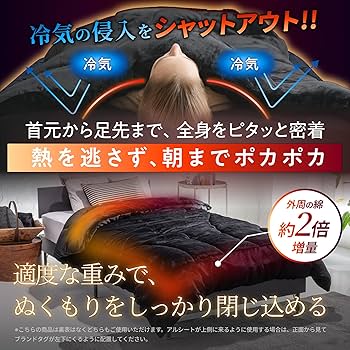 Amazon｜GOKUMIN 掛け布団 シングル ベージュ 冬 洗える 【 羽毛布団