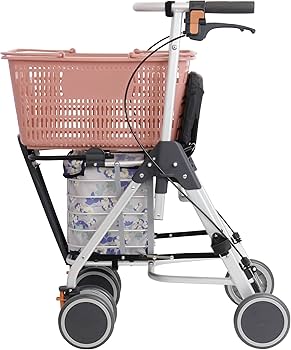 Amazon.co.jp: 幸和製作所 TacaoF(テイコブ) 歩行車 テイコブリトル