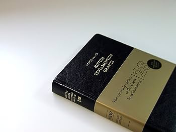 81Xv9bgl0FL._AC_UF350,