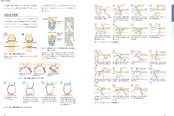 Amazon.co.jp: 牛の臨床外科 : 佐藤 礼一郎: Japanese Books