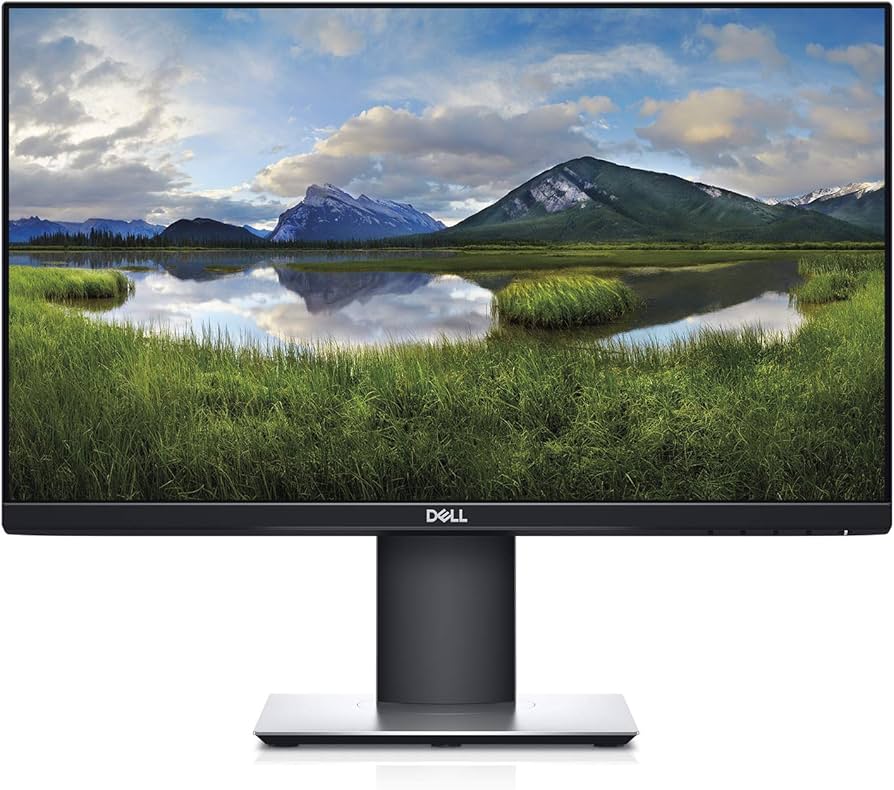 Amazon.com: Dell P Series 21.5