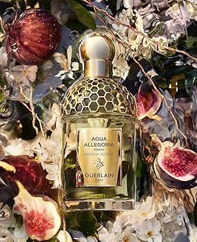 Amazon.com : Guerlain Aqua Allegoria Forte Nerolia Vetiver Eau De