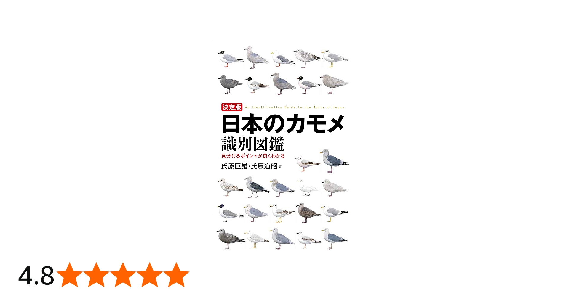 決定版 日本のカモメ識別図鑑: 見分けるポイントが良くわかる | 氏原