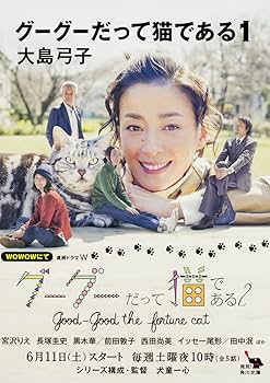 81bGWvjw56L._AC_UF350,