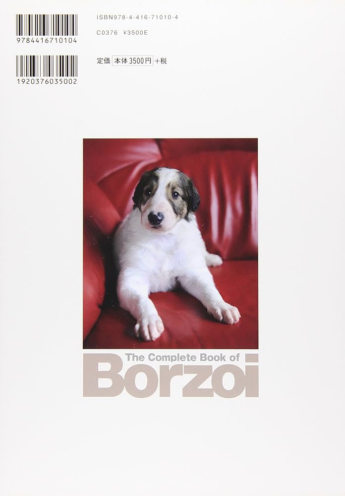 81bhi1eSILL._AC_UF1000,