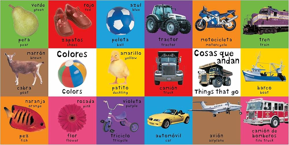 Amazon.com: First 100 Big Board: First 100 Words / Primera 100