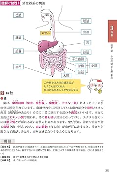 ユーキャンの登録販売者 速習テキスト&重要過去問題集 第2版