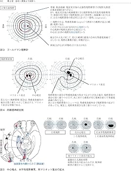 81dbVHD0sgL._AC_UF350,