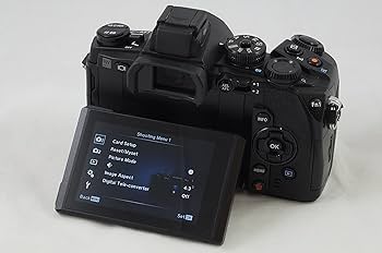 Amazon.com : Olympus OM-D E-M1 Mirrorless Digital Camera with 16MP