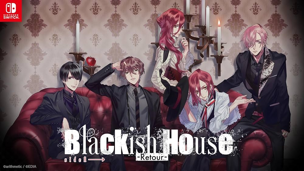 Amazon.co.jp: Blackish House sideA→ -Retour- Switch : 楽器・音響機器