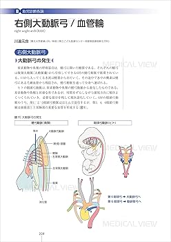 胎児心エコーのすべて−スクリーニング・精査・治療・そして家族支援