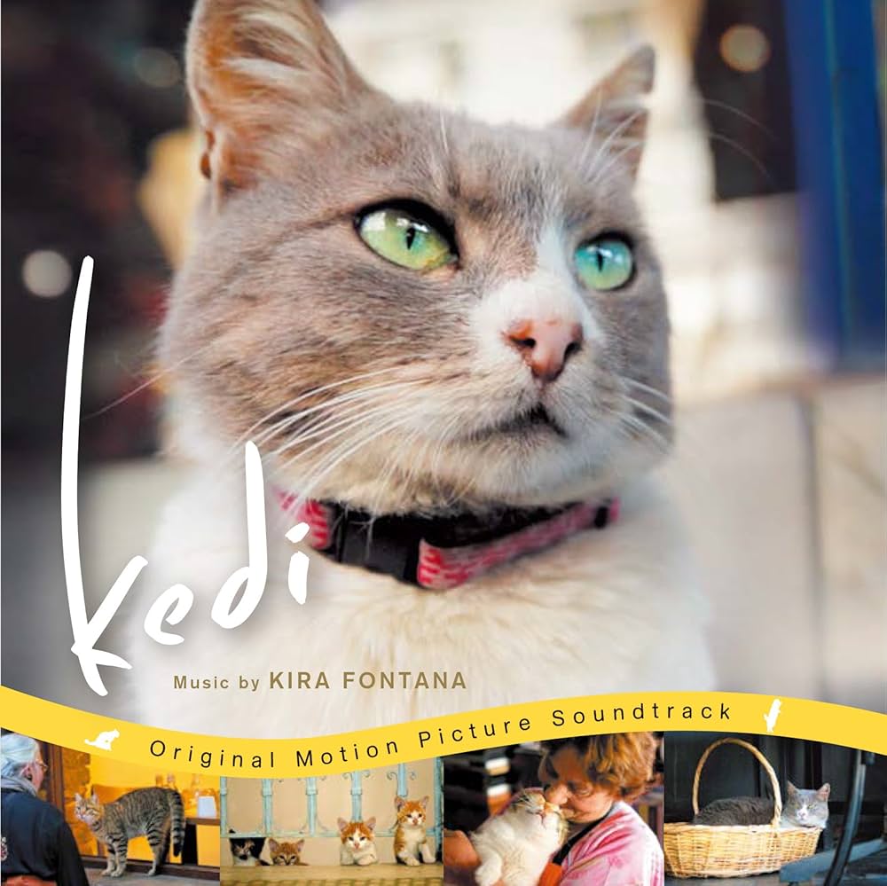 Amazon.co.jp: 猫が教えてくれたこと: ミュージック