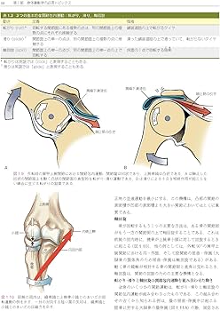 筋骨格系のキネシオロジー 原著第3版 | Donald A.Neumann, P.D.Andrew