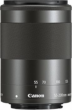 Canon EF-M55-200ISSTM f/6.3-4.5 Telephoto-Zoom Lens : CANON