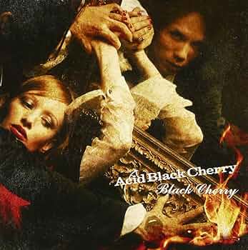 Amazon.co.jp: Black Cherry - Acid Black Cherry: ミュージック