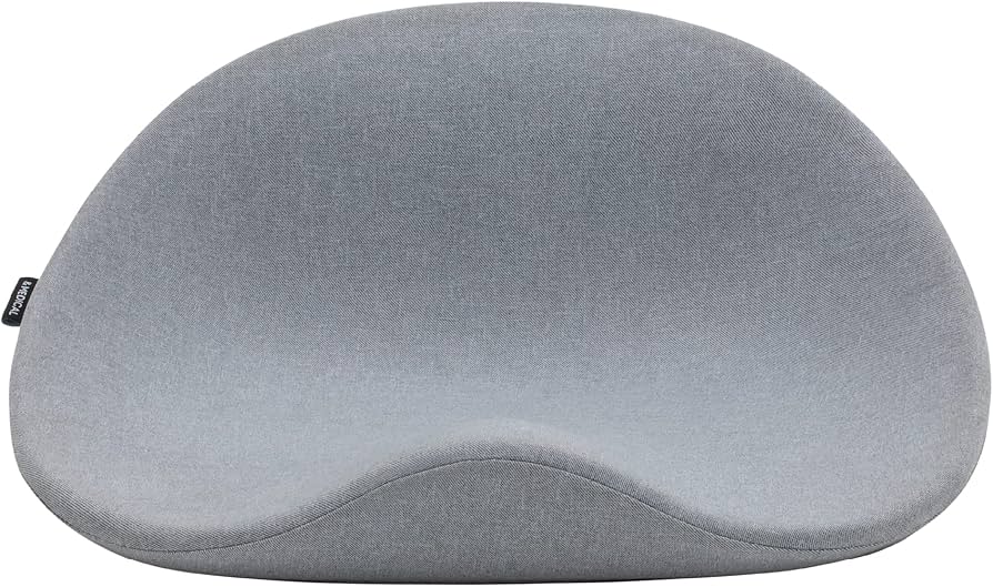 Amazon.co.jp: アンドメディカル KURA SEAT 座椅子 姿勢矯正 腰痛 椅子