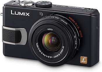Amazon.com : Panasonic DMC-LX2K 10.2MP Digital Camera with 4x