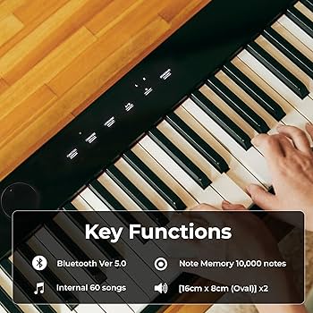 Amazon.com: Casio PX-S1100 Privia Digital Piano - Black Bundle