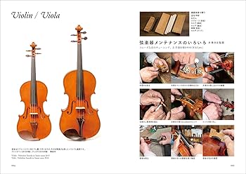 81oeUdeywRL._AC_UF350,