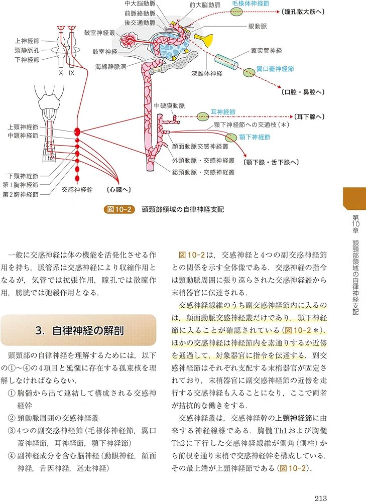 頭頸部外科診療に役立つ 頭頸部管腔構造の理解 | 西嶌 渡 |本 | 通販