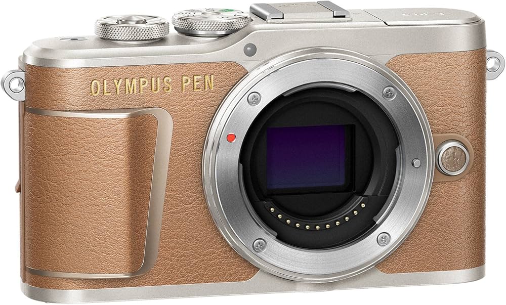 Amazon | OLYMPUS ミラーレス一眼 PEN E-PL9 ボディー ブラウン