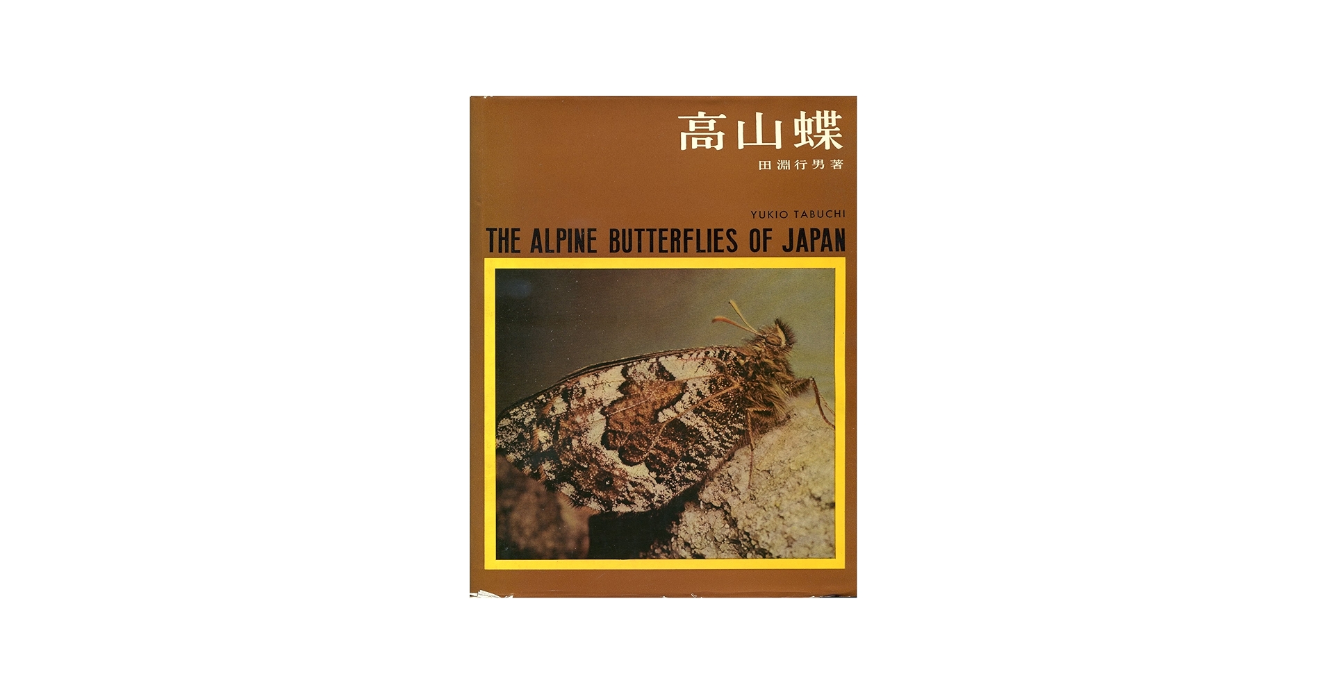 高山蝶―生態写真 (1959年) | 田淵行男 |本 | 通販 | Amazon