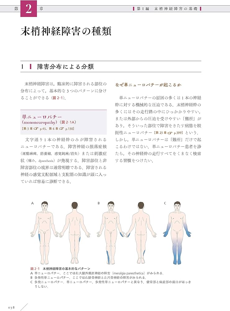 末梢神経障害: 解剖生理から診断,治療,リハビリテーションまで | 神田