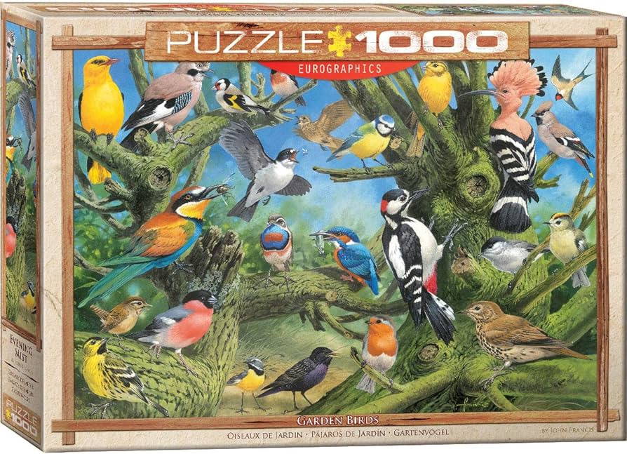 Amazon.com: EuroGraphics Garden Birds by Joahn Francis 1000-Piece