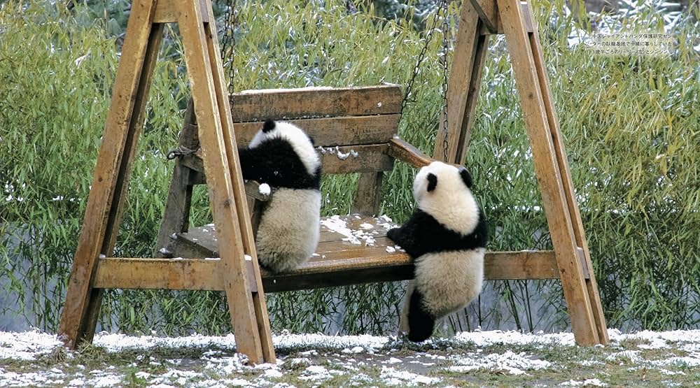 ずっと一緒 リーリーとシンシン | 日本パンダ保護協会 |本 | 通販 | Amazon