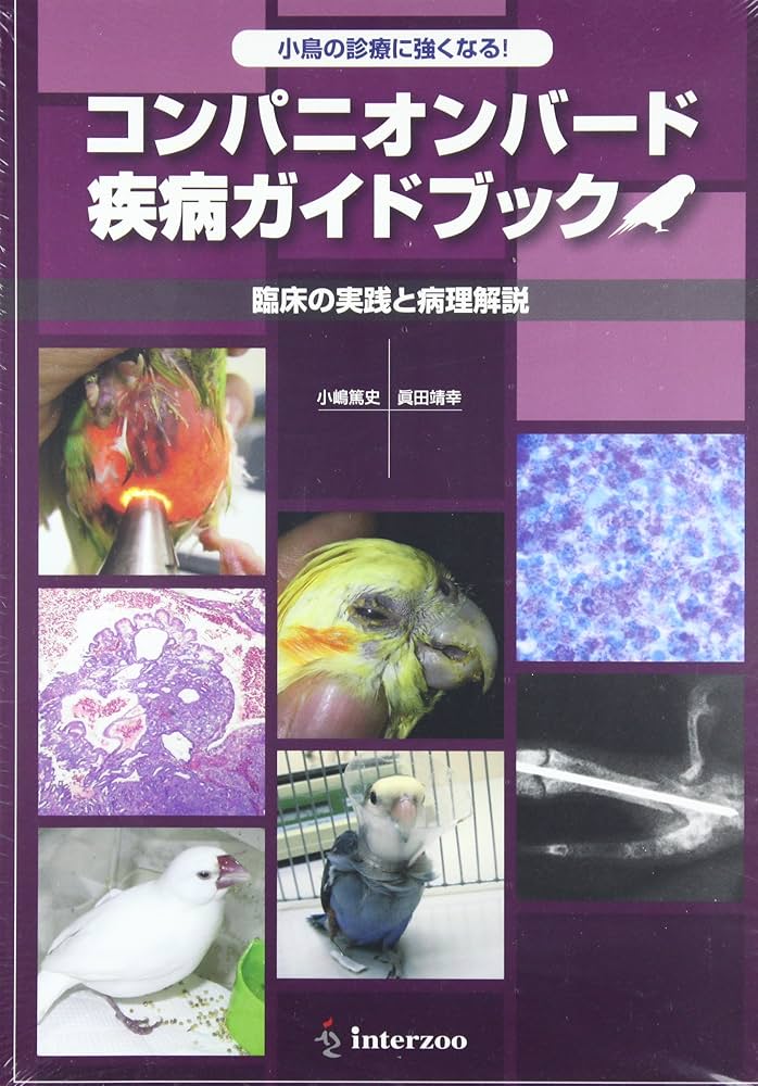 Amazon.co.jp: コンパニオンバ-ド疾病ガイドブック: 小鳥の診療に強く